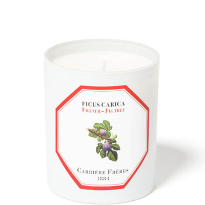 Carrière Frères Scented Candle Fig Tree – Ficus Carica – 185 g